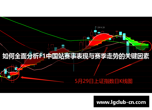 如何全面分析F1中国站赛事表现与赛季走势的关键因素
