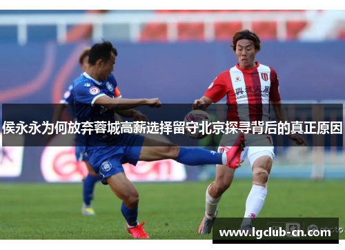 侯永永为何放弃蓉城高薪选择留守北京探寻背后的真正原因