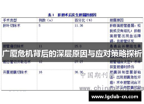 广厦危机背后的深层原因与应对策略探析