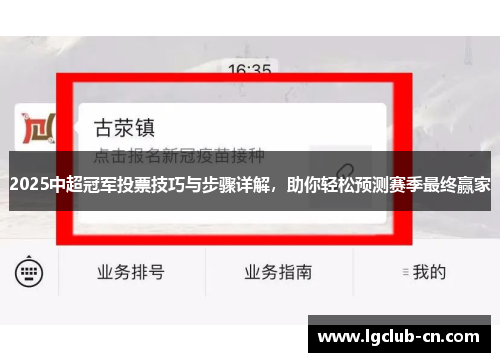 2025中超冠军投票技巧与步骤详解，助你轻松预测赛季最终赢家