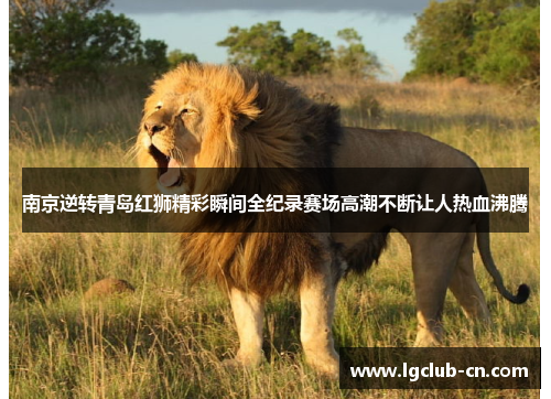 南京逆转青岛红狮精彩瞬间全纪录赛场高潮不断让人热血沸腾