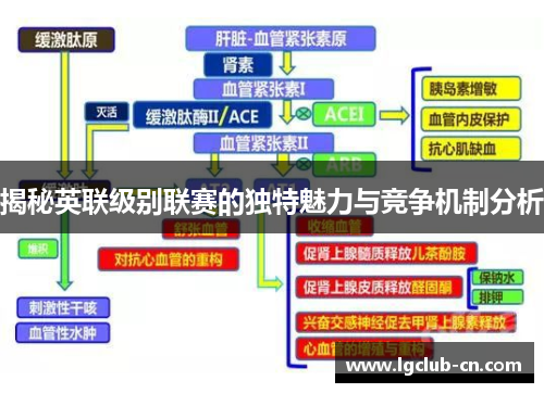 揭秘英联级别联赛的独特魅力与竞争机制分析