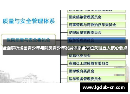 全面解析埃因青少年与阿贾青少年发展体系全方位关键五大核心要点