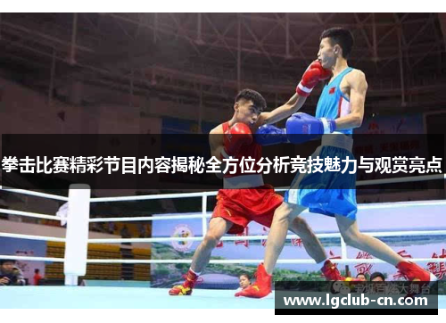 拳击比赛精彩节目内容揭秘全方位分析竞技魅力与观赏亮点