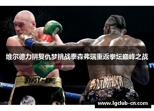 维尔德力拼复仇梦挑战泰森弗瑞重返拳坛巅峰之战 维尔德力拼复仇梦挑战泰森弗瑞重返拳坛巅峰之战