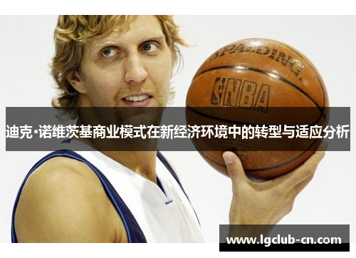 迪克·诺维茨基商业模式在新经济环境中的转型与适应分析